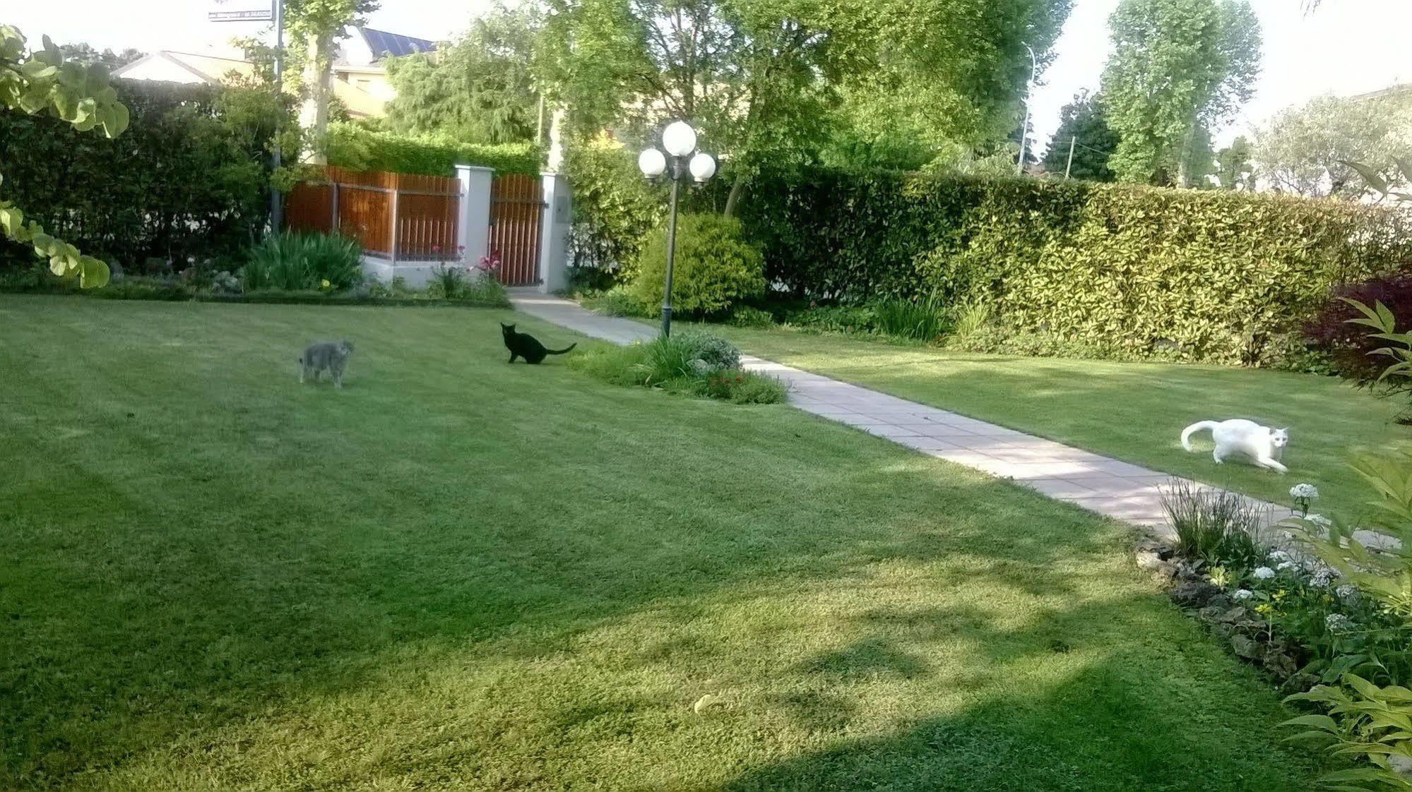 B&B Le Tre Grazie San Martino di Lupari Luaran gambar